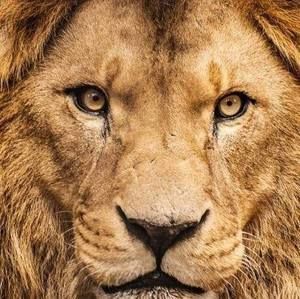 Meet your Posher, Rick